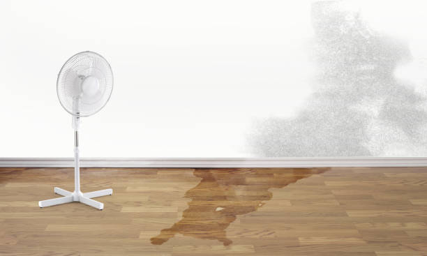 Best Sewage cleanup and water damage restoration  in Mars, PA