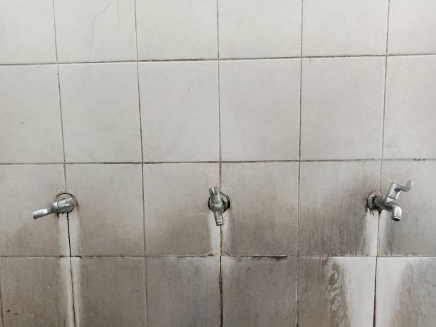 Best Residential water damage restoration  in Mars, PA