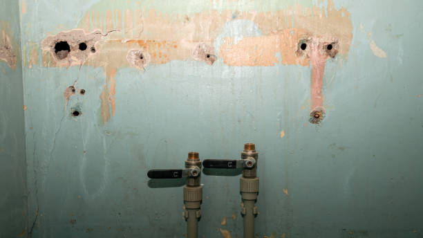 Best Water damage restoration services  in Mars, PA