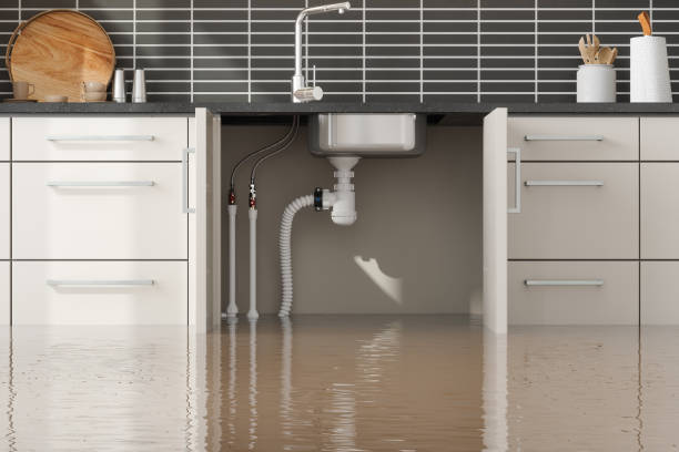 Best 24-hour water damage restoration  in Mars, PA