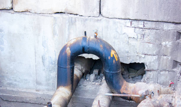 Best Professional water damage repair  in Mars, PA