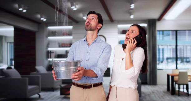 Best Carpet water damage restoration  in Mars, PA
