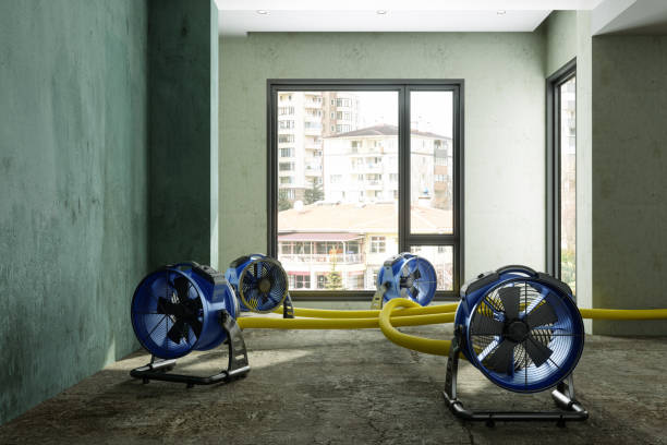 Best Flood restoration services  in Mars, PA